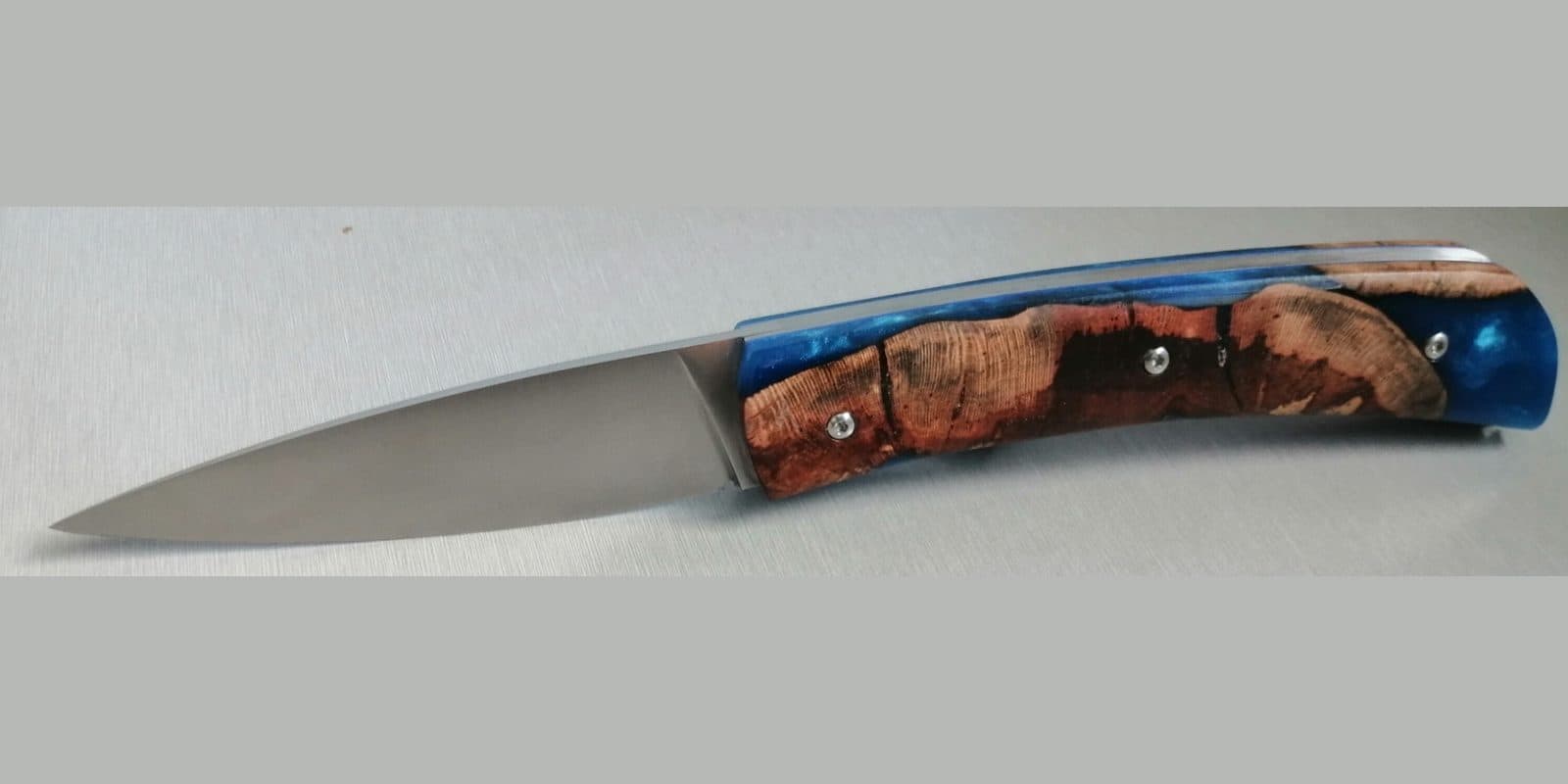 Barracuda grand modèle, Hybride cep de vigne